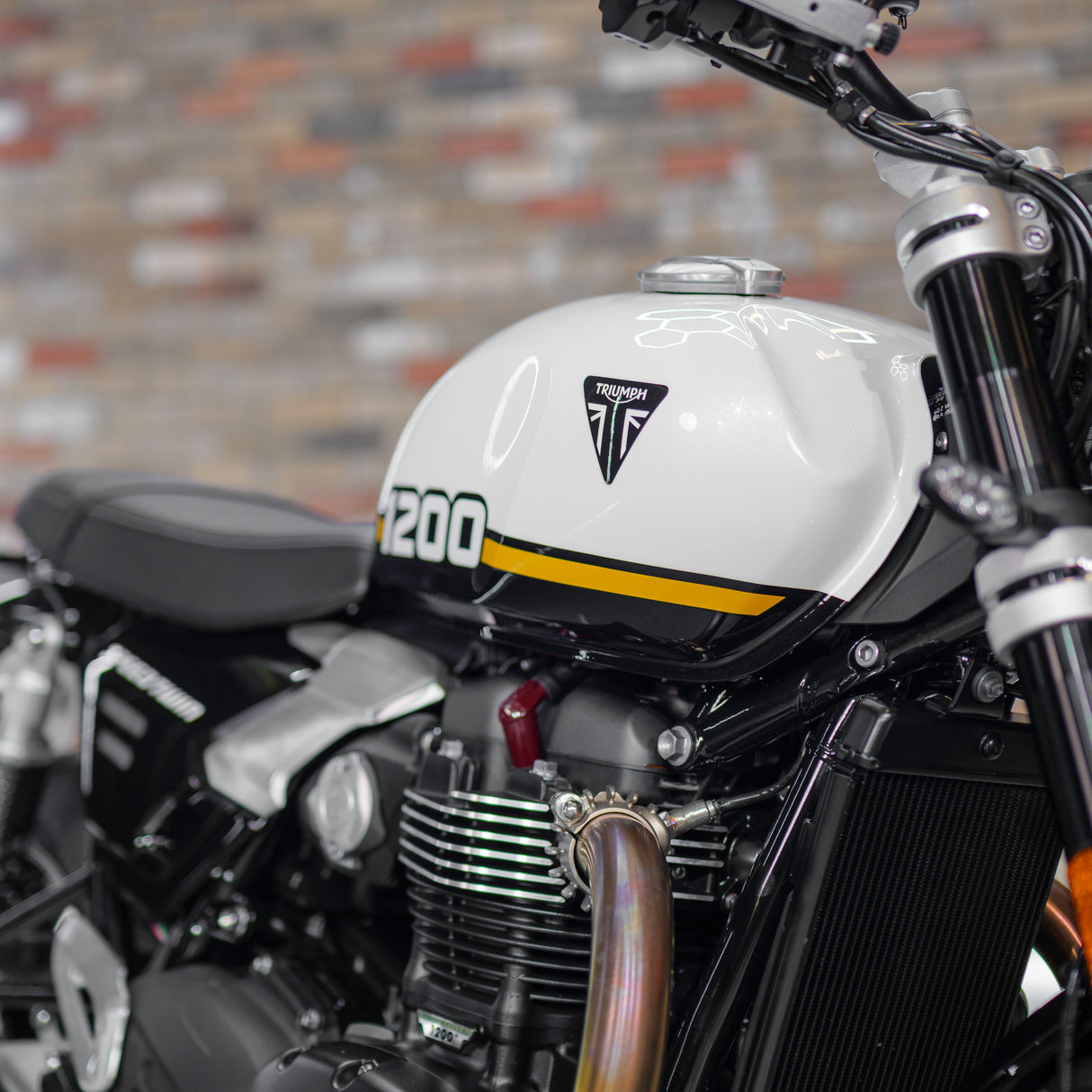 BRAND NEW Triumph Speed Twin 1200