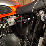 Triumph T100