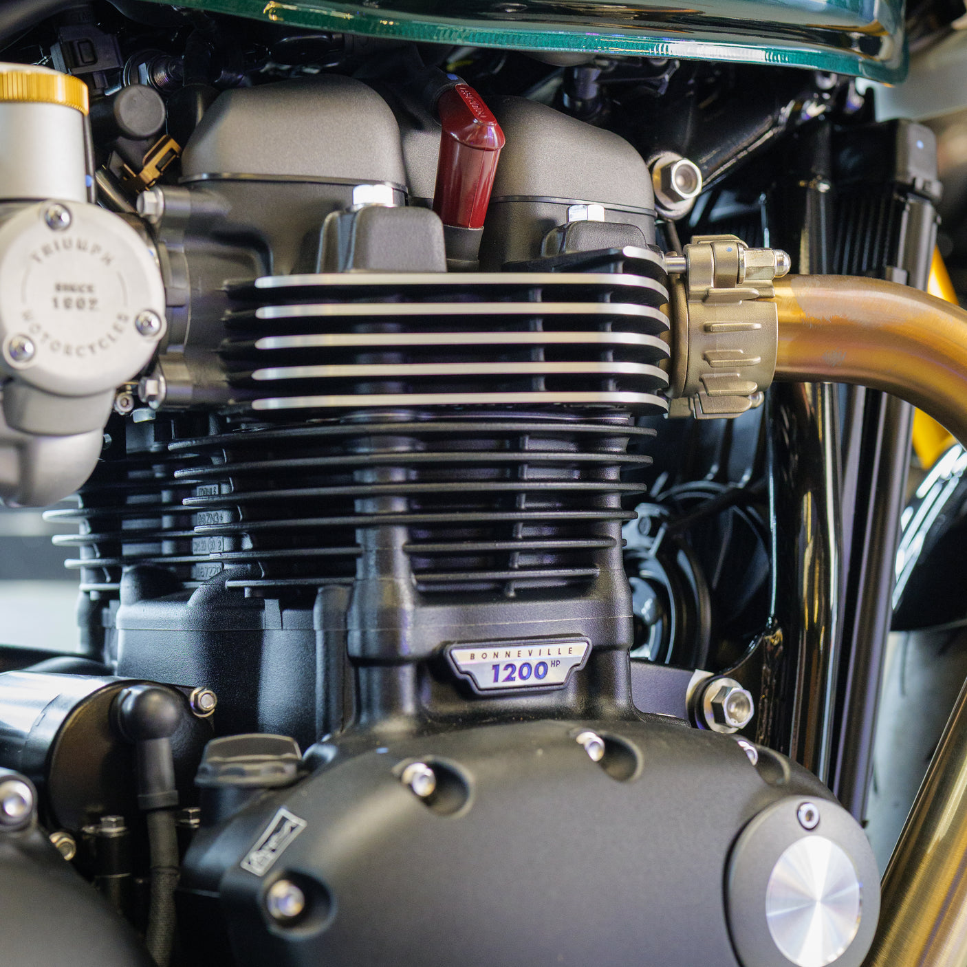 2024 Triumph Thruxton Final Edition + £1000 cash