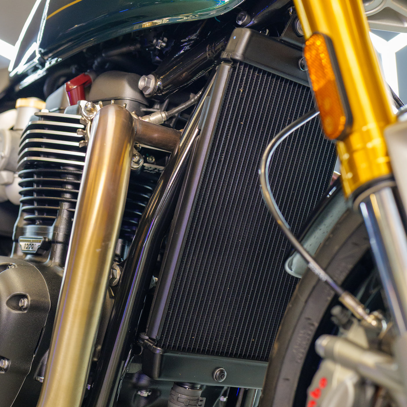 2024 Triumph Thruxton Final Edition + £1000 cash