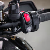 2023 Triumph Tiger 1200 Rally Explorer with Luggage
