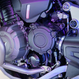 BRAND NEW Triumph Tiger Rally Explorer 1200 + £1,000