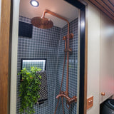 Vienna - 4 berth Automatic Custom Camper