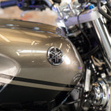 LOW ODDS: 2009 YAMAHA XJR 1300