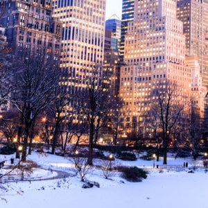 5 Night Christmas New York Shopping Holiday