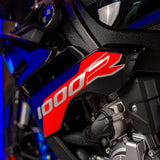 INSANE 2025 BMW M 1000R